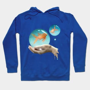 Two little fish. Digital painting Hoodie